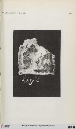 Tavola I- XII