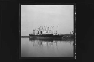 Bayernstein (1968), Frachtschiff (reefer), Bau-Nr. 933