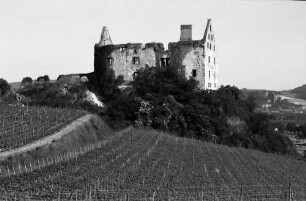 Burkheim: Schwendi-Schlossruine
