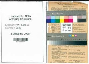 Entnazifizierung Josef Bischopink , geb. 22.01.1895 (Beamter)