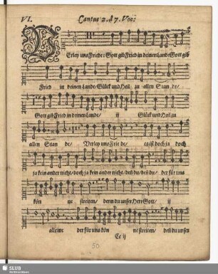 VI. Verley uns Friede.