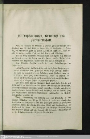 16. Anpflanzungen, Baumzucht und Forstwirthschaft