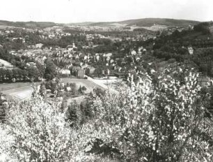 Sebnitz : Sebnitz. Blick von Endlers Ruhe über die Stadt nach Nordosten
