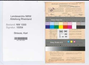 Entnazifizierung Karl Strauss, geb. 13.02.1885 (Verw.Angest.)