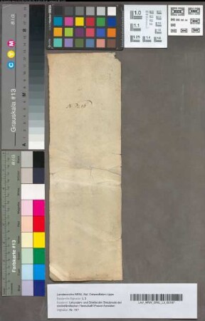 Stukken van een geding voor het Hof van Holland tusschen Antonia Penelope van Brederode, Gravinne en douairière van Isenburg, en den Procureur-generaal, over het bezit van Vianen en Ameide, 1590. O. a. genummerd 31 en 38 nu 8. 4 stukken.
