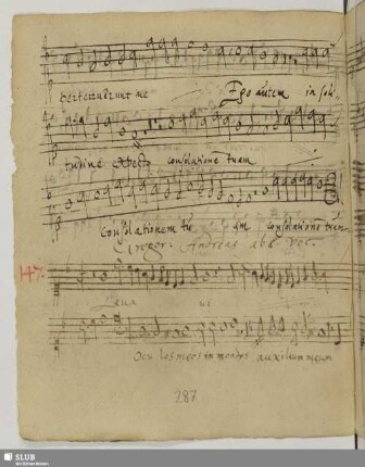 Gregorius, Andreas: Levavi oculos meos
