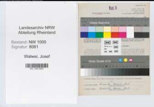 Entnazifizierung Josef Walwei, geb. 27.03.1910 (Abteilungsleiter)