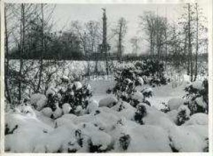 Tiergarten und Siegessäule im Winter