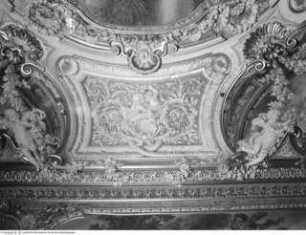 Die vier Kontinente, Elemente und Jahreszeiten, Spiegelgewölbe, Hohlkehle: Bildfelder mit Ranken und spielenden Putten
