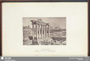 Forum Romanum, Showing the extent of the recent excavations