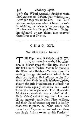 Chap. XVI. The Mulberry Insect