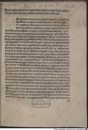Tractatus p[er]optimus d[e] animabus exutis a corporibus