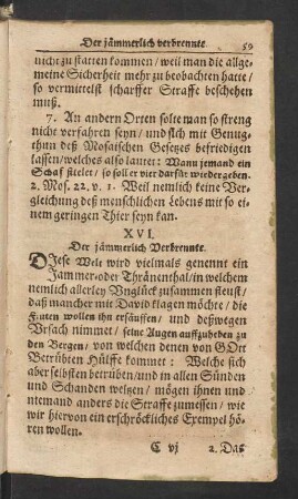 XVI. Der jämmerlich Verbrennte.