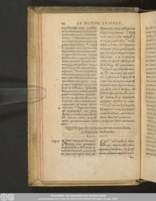 Quot & quae sint principia rerum naturalium, ex sententia Aristotelis.