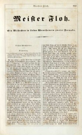 Meister Floh