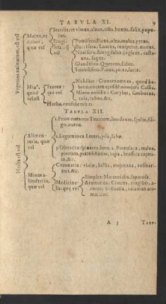 [Tabula XI.-XX.]