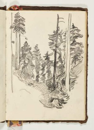 Waldstudie - Ornamente