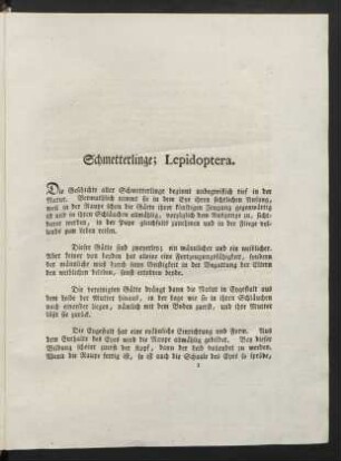 Schmetterlinge; Lepidoptera.