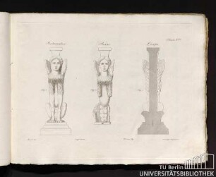 Planche XIII. Restauration. Ruine. Coupe. Fig. 2. Fig. 3. Fig. 1. Pesenti del. supplement. Ferrari fig. gravé par Acquaroni.