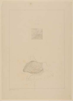 Neunfach vergrößerte Darstellung der Riechschleimhaut (oben) und Arterien der rechten Seite der Nasenscheidewand (unten) [Vorzeichnung zu Samuel Thomas Soemmerring, Abbildungen der menschlichen Organe des Geruchs, Frankfurt am Main 1809, Tafel 2, Fig. II und V ("schattierte" Darstellung)]