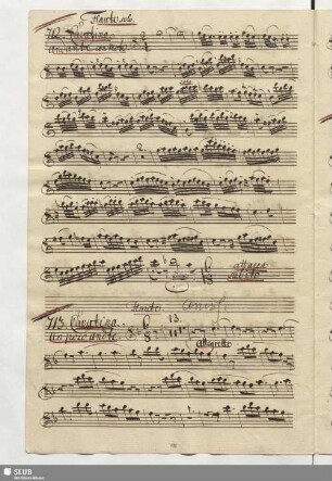 713. Cavatina: La mia amorosa hà un volto / Naumann, J.G.