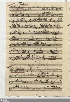 713. Cavatina: La mia amorosa hà un volto / Naumann, J.G.