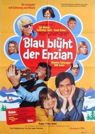 Blau blüht der Enzian
