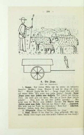8. Die Ziege