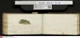 Stammbuch des Johann Christian Wilhelm Schütze aus                            Braunschweig