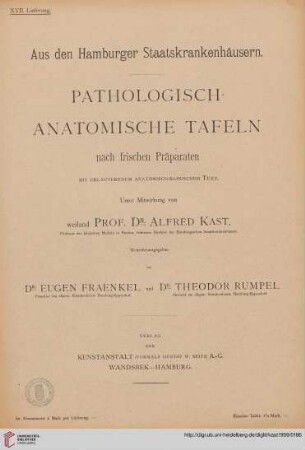 Heft 17: Pathologisch-anatomische Tafeln