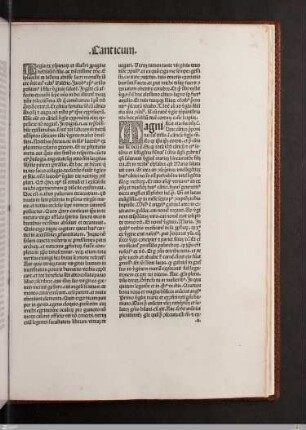 Virginis canticum