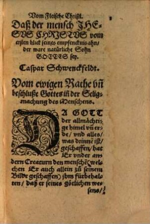Vom Fleische Christi : Daß der mensch Jhesus Christus vom ersten blick seines empfencknis ahn, der ware natürliche Sohn Gottes sey ...