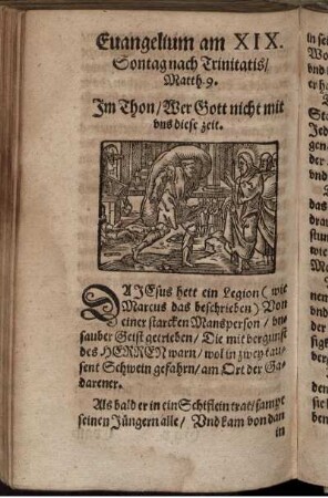 Evangelium am XIX. Sontag nach Trinitatis/ Matth. 9.