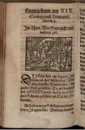 Evangelium am XIX. Sontag nach Trinitatis/ Matth. 9.