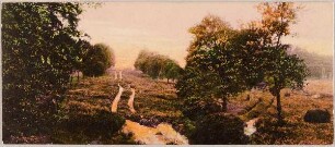 Heidelandschaft mit Weg