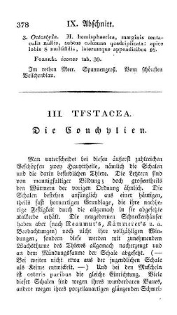 III. Testacea. Die Conchylien