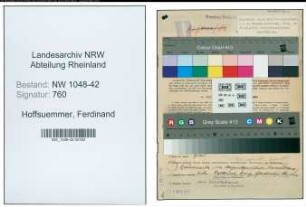 Entnazifizierung Ferdinand Hoffsuemmer , geb. 14.12.1900 (Kaufmann)