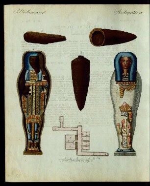Egyptische Mumien.