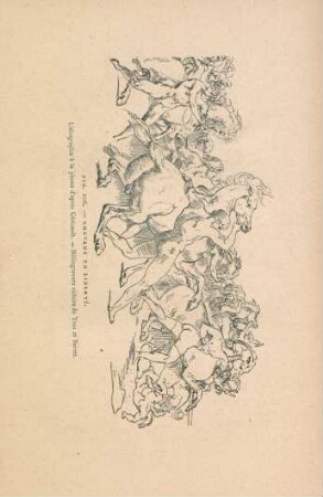 Fig. 106. - Chevaux en liberté