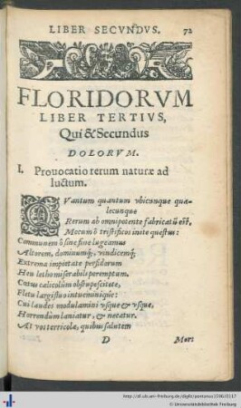 Liber Tertius: Dolorum Liber Secundus