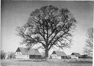 (Siedlung)