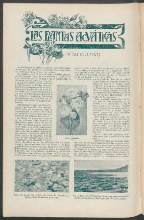 Las plantas acuáticas y su cultivo