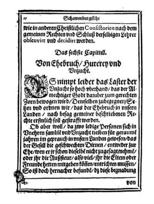 Cap. 6. Von Ehebruch Hurerey und Unzucht.