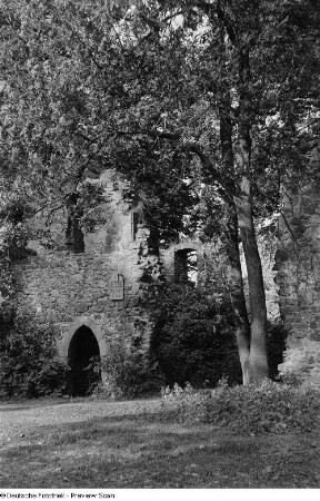 Ruine des Klosters Nimbschen bei Grimma