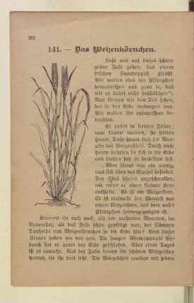 [Lesestücke 141-150]