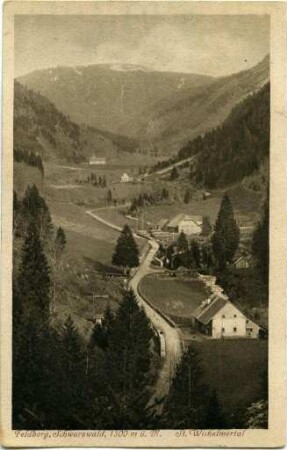St. Wilhelmertal mit Feldberg
