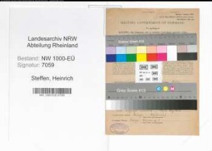 Entnazifizierung Heinrich Steffen, geb. 04.03.1876 (Industriemeister)
