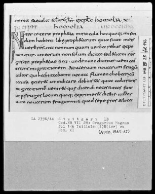 Gregorius Magnus, Homiliae in Ezchielem — Initiale N, Folio 146recto