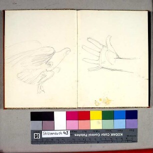 Adler