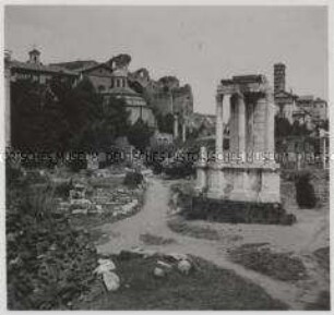 Rom, Forum Romanum, Tempel der Vesta